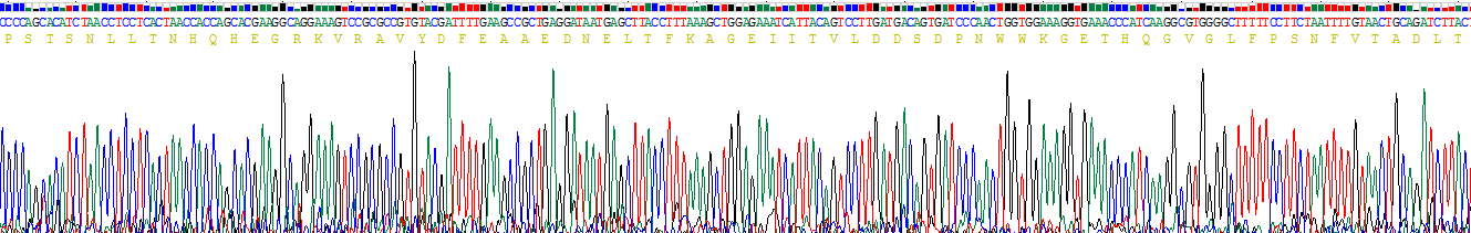 Recombinant Signal Transducing Adaptor Molecule 1 (STAM1)