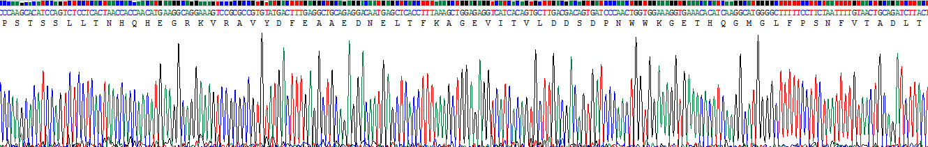 Recombinant Signal Transducing Adaptor Molecule 1 (STAM1)