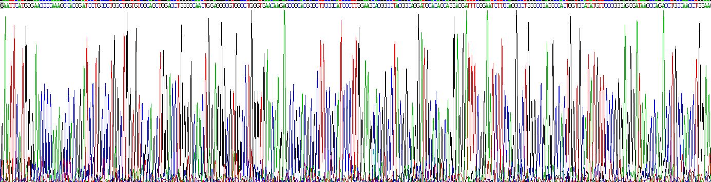 Recombinant Interferon Regulatory Factor 3 (IRF3)