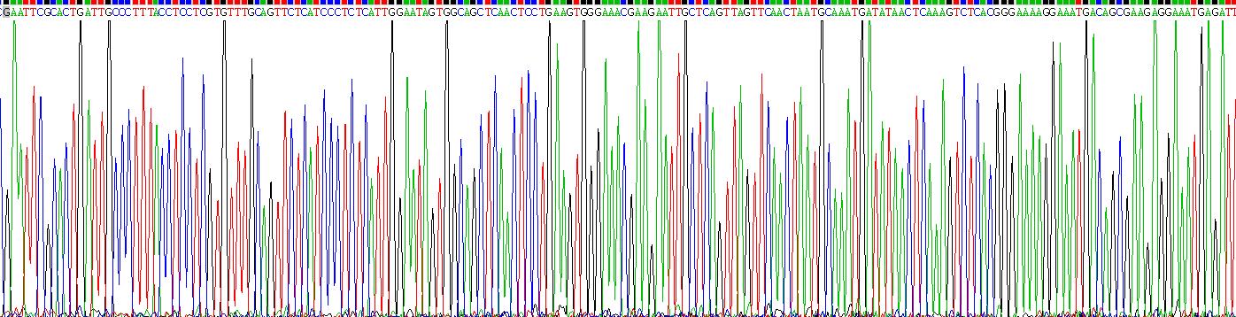 Recombinant Macrophage Scavenger Receptor 1 (MSR1)