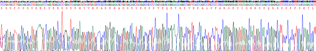 Recombinant B-Cell Linker Protein (BLNK)