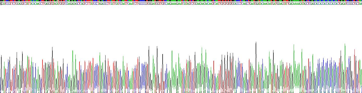 Recombinant B-Lymphocyte Chemoattractant (BLC)