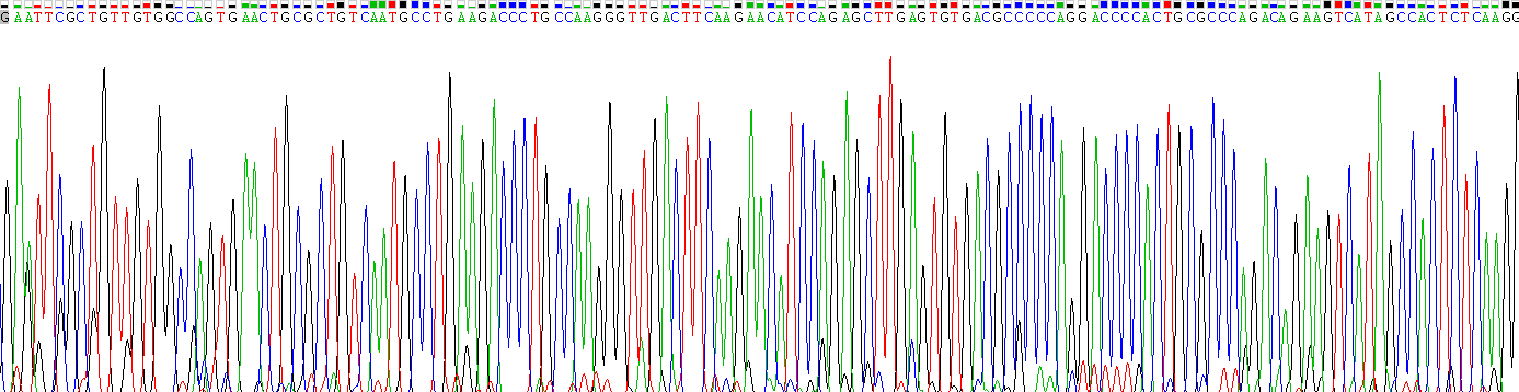 Recombinant Chemokine (C-X-C Motif) Ligand 2 (CXCL2)