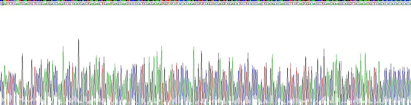 Recombinant Chemokine (C-X-C Motif) Ligand 14 (CXCL14)