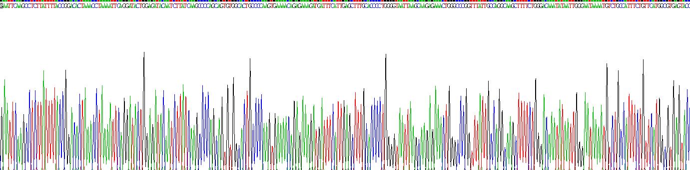 Recombinant Glucocorticoid Receptor (GR)