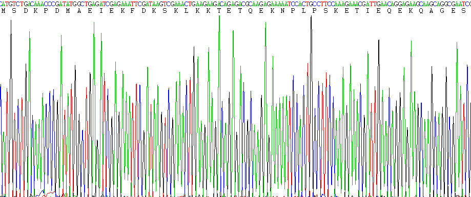 Recombinant Thymosin Beta 4 (TMSB4X)