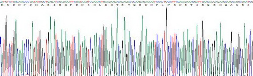 Recombinant Thymosin Beta 4 (TMSB4X)