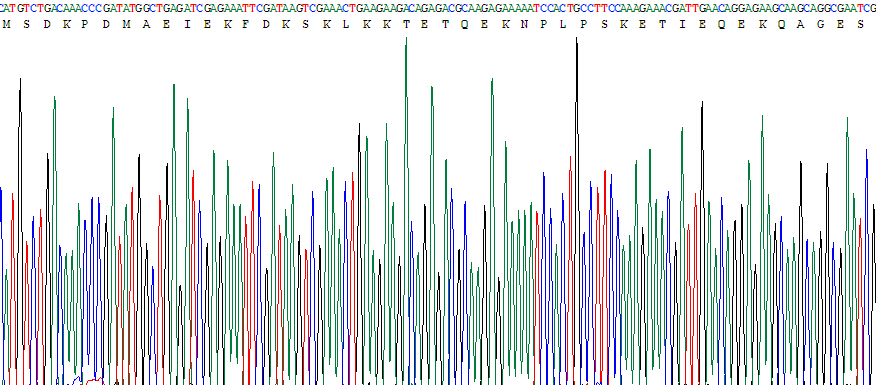 Recombinant Thymosin Beta 4 (TMSB4X)