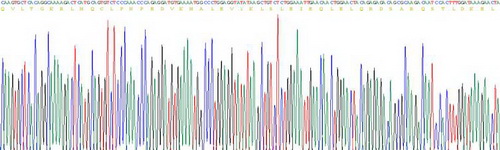 Recombinant C4 Binding Protein Alpha (C4BPa)