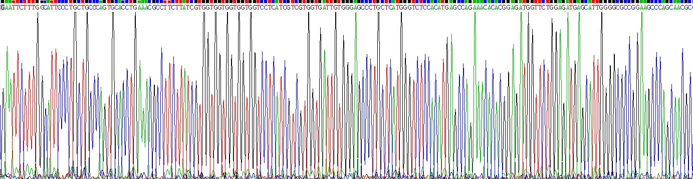 Recombinant Surfactant Protein C (SP-C)