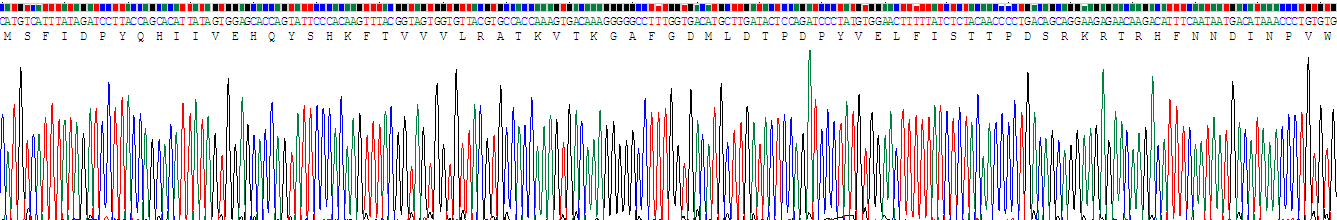 Recombinant Cytosolic Phospholipase A2 (PLA2G4)