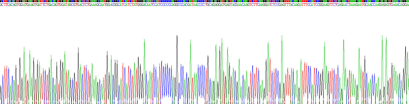 Recombinant Interleukin 10 Receptor Alpha (IL10Ra)