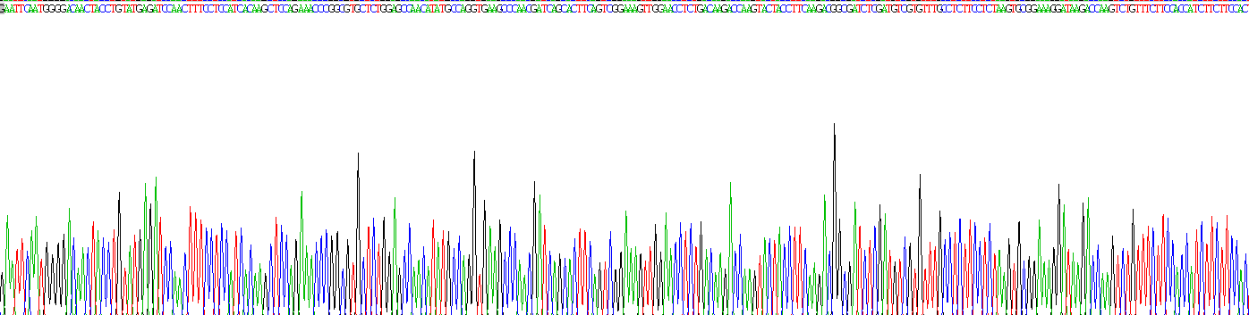 Recombinant Insulin Like Growth Factor 2 Receptor (IGF2R)