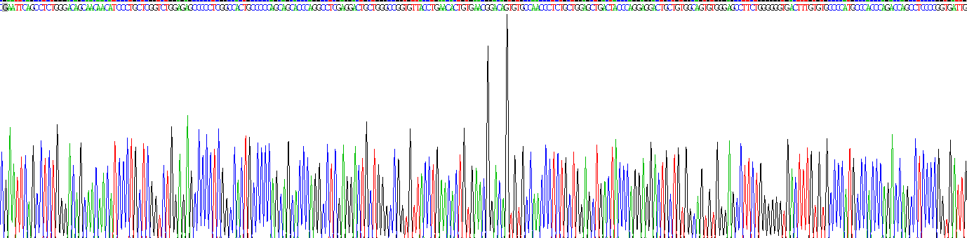 Recombinant Latent Transforming Growth Factor Beta Binding Protein 2 (LTBP2)