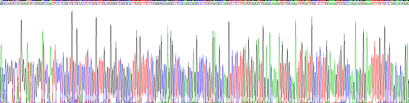 Recombinant Peptidylprolyl Isomerase C (PPIC)