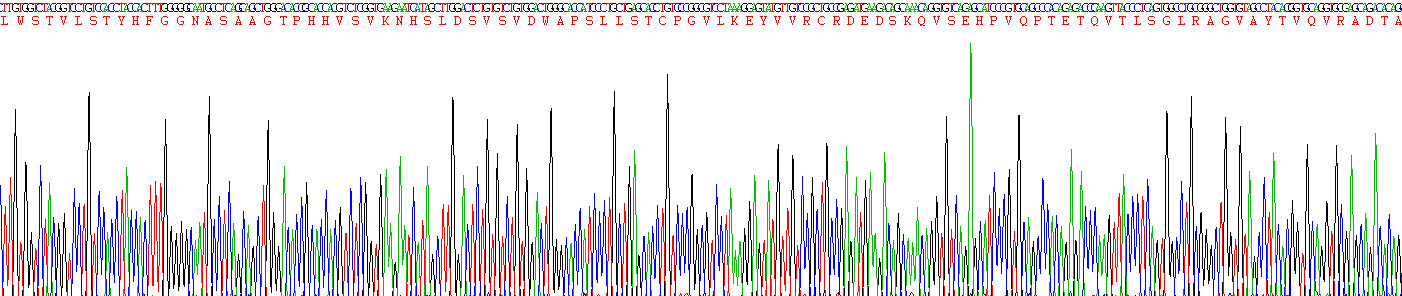 Recombinant Interleukin 12 Receptor Beta 1 (IL12Rb1)