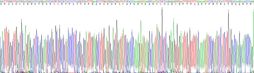 Recombinant Myostatin (MSTN)