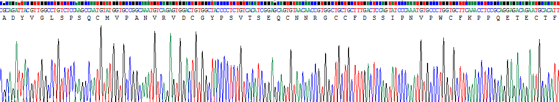 Recombinant Trefoil Factor 3 (TFF3)