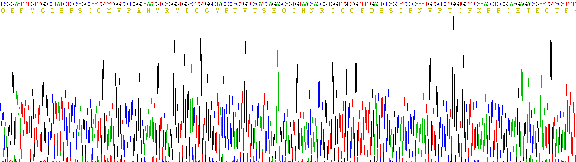 Recombinant Trefoil Factor 3 (TFF3)