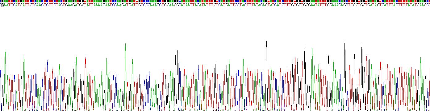 Recombinant Angiotensin II Receptor 1 (AGTR1)