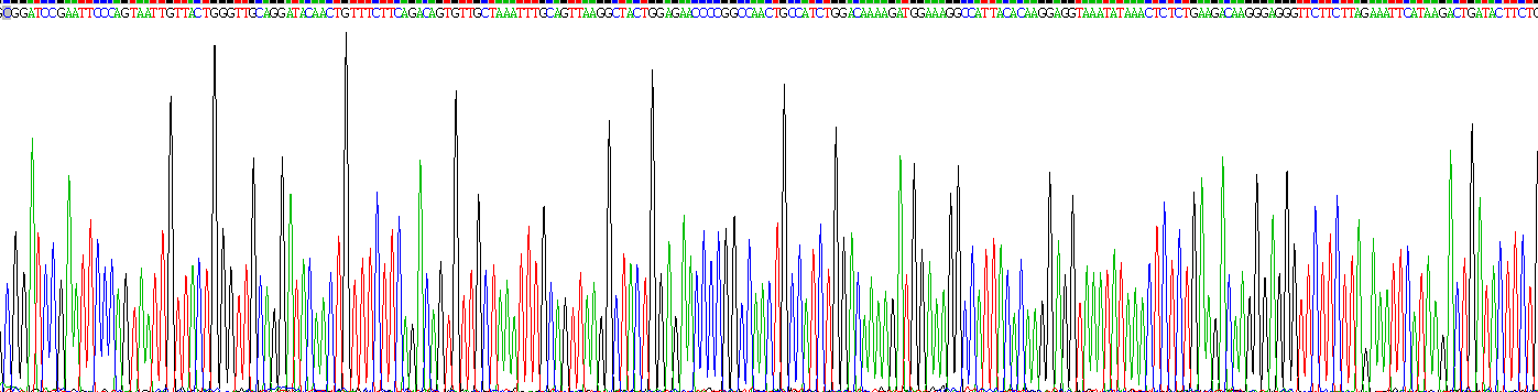 Recombinant Titin (TTN)