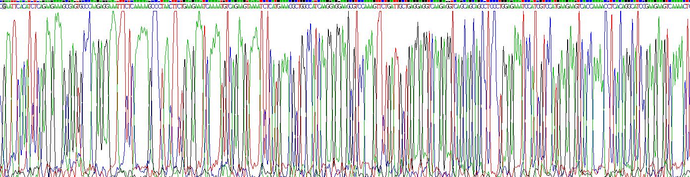 Recombinant Titin (TTN)