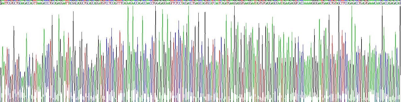 Recombinant Golgi Phosphoprotein 2 (GOLPH2)