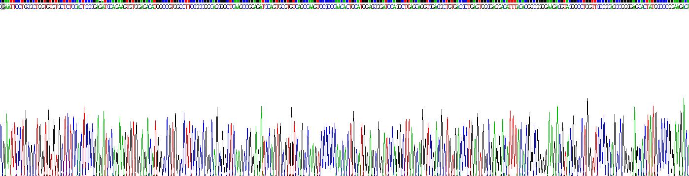 Recombinant Melanotransferrin (MFI2)