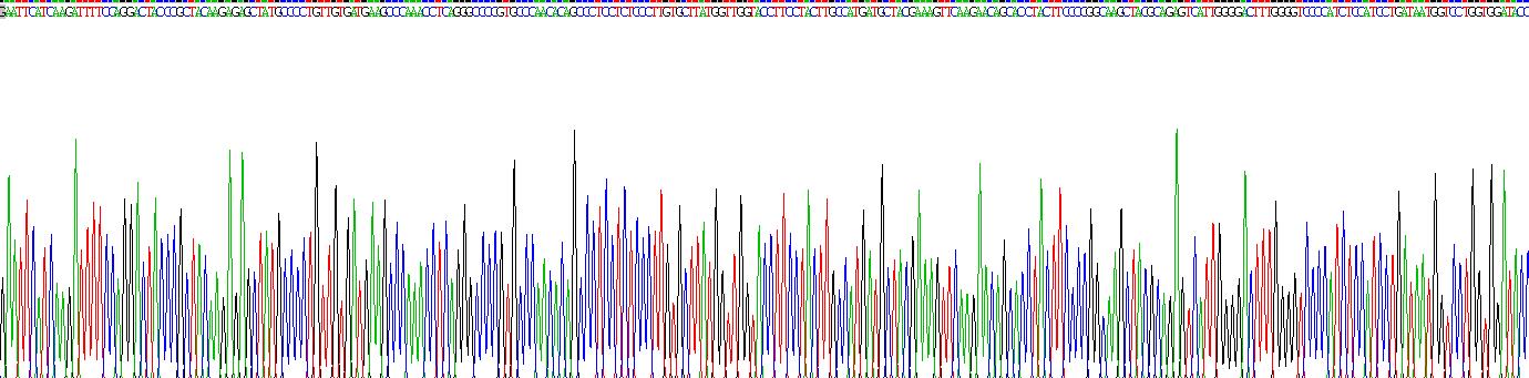 Recombinant Band 3 (BND3)