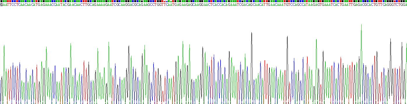 Recombinant Cytokeratin 10 (CK10)