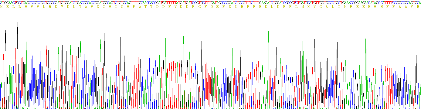 Recombinant Myogenic Differentiation (MyoD)