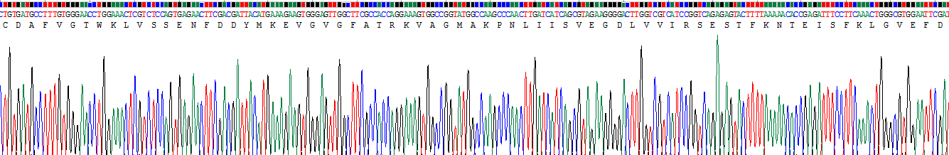 Recombinant Fatty Acid Binding Protein 4 (FABP4)