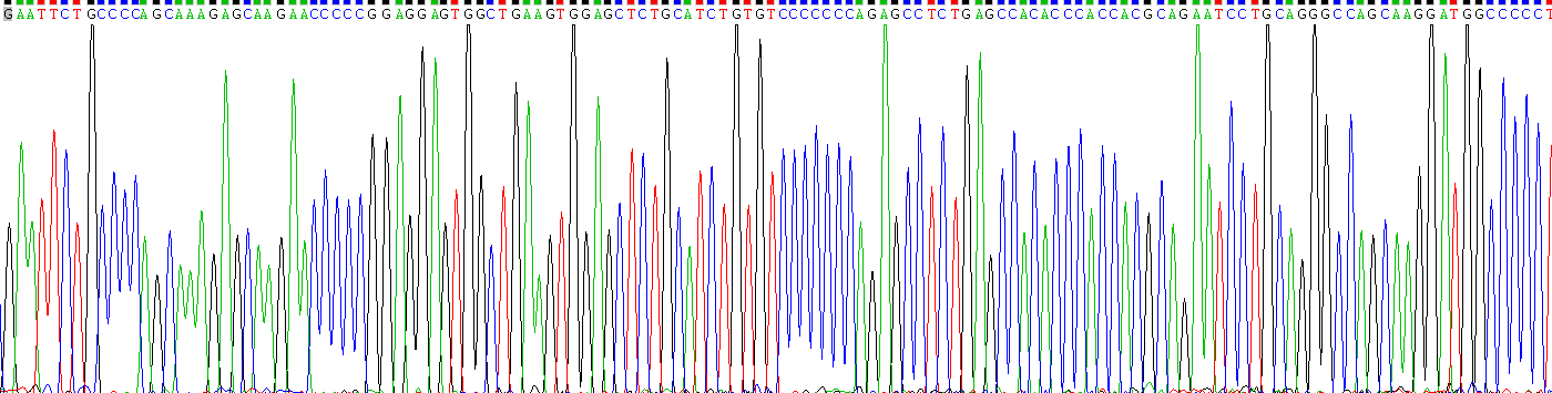 Recombinant Interleukin 25 (IL25)