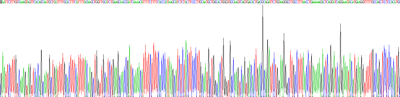 Recombinant Alpha-1-Antitrypsin (a1AT)