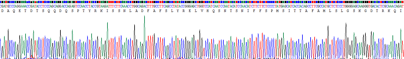 Recombinant Alpha-1-Antitrypsin (a1AT)