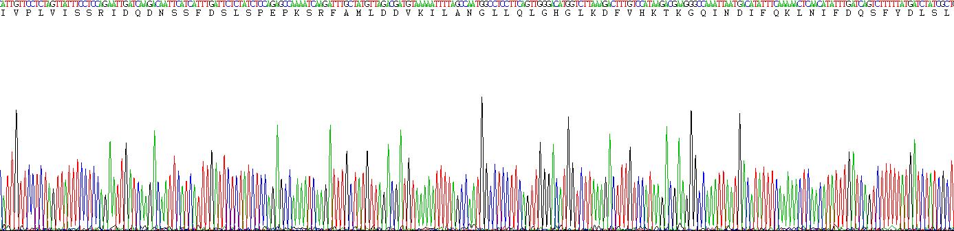 Recombinant Angiopoietin Like Protein 3 (ANGPTL3)