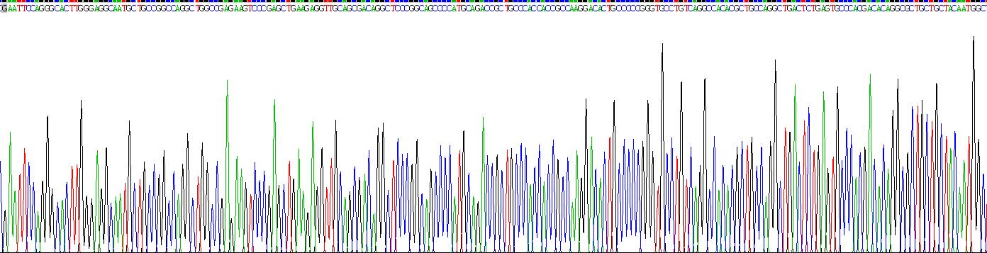 Recombinant WAP Four Disulfide Core Domain Protein 1 (WFDC1)