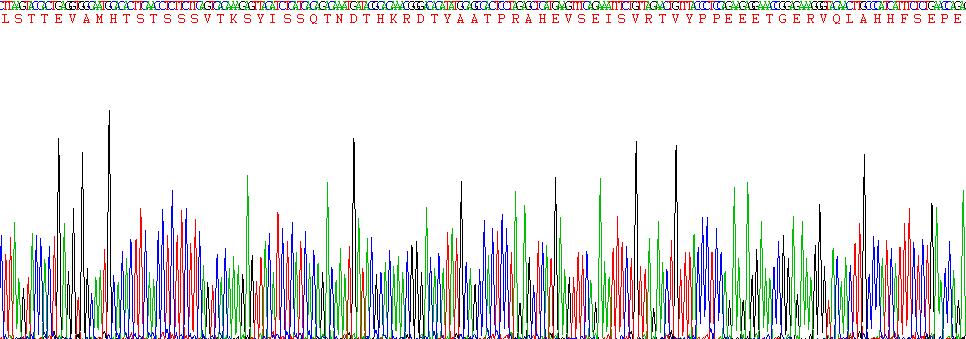 Recombinant Glycophorin A (GYPA)