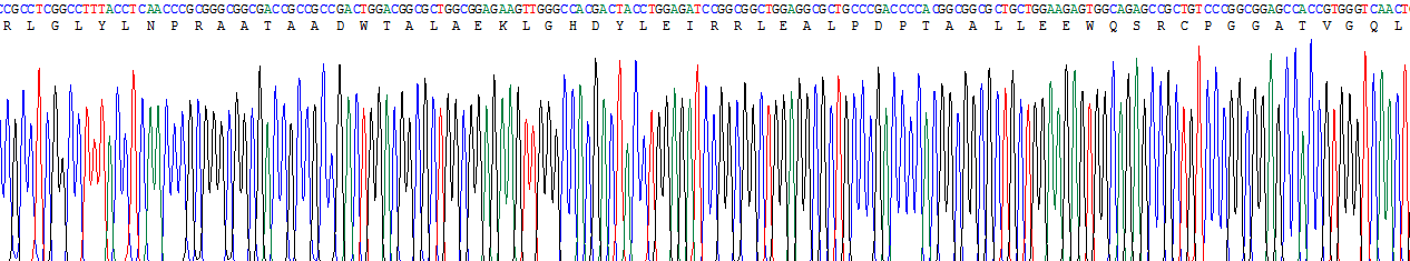 Recombinant Myeloid Differentiation Factor 88 (MyD88)