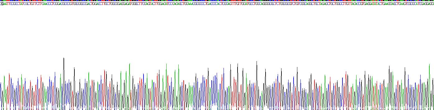 Recombinant Myeloid Differentiation Factor 88 (MyD88)