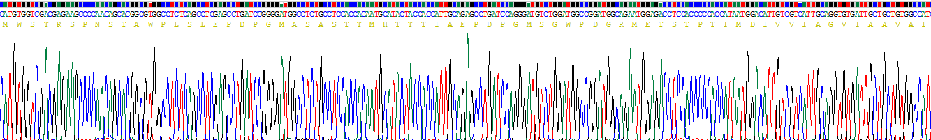 Recombinant Glycophorin C (GYPC)