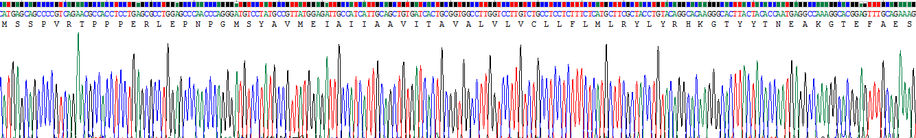 Recombinant Glycophorin C (GYPC)