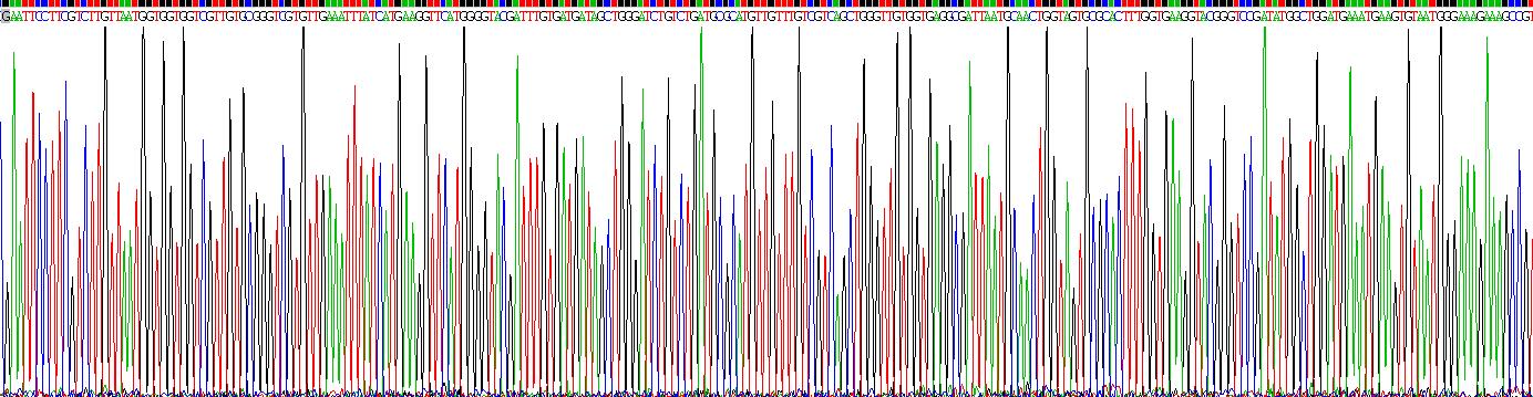 Recombinant Cluster Of Differentiation (CD163)