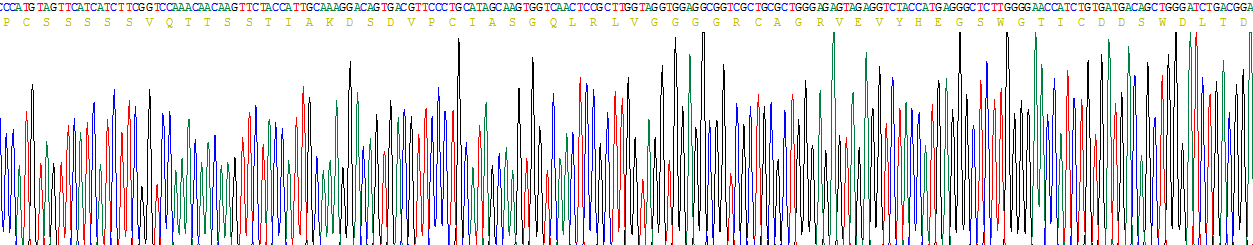 Recombinant Cluster Of Differentiation (CD163)