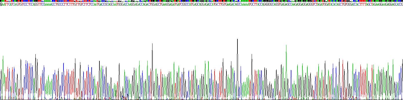 Recombinant Bone Morphogenetic Protein 9 (BMP9)