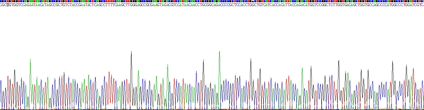 Recombinant B-Cell CLL/Lymphoma 3 (Bcl3)