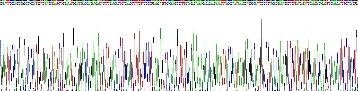 Recombinant Caspase 4 (CASP4)