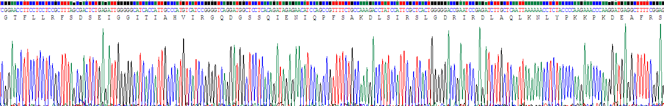 Recombinant Signal Transducer And Activator Of Transcription 6 (STAT6)