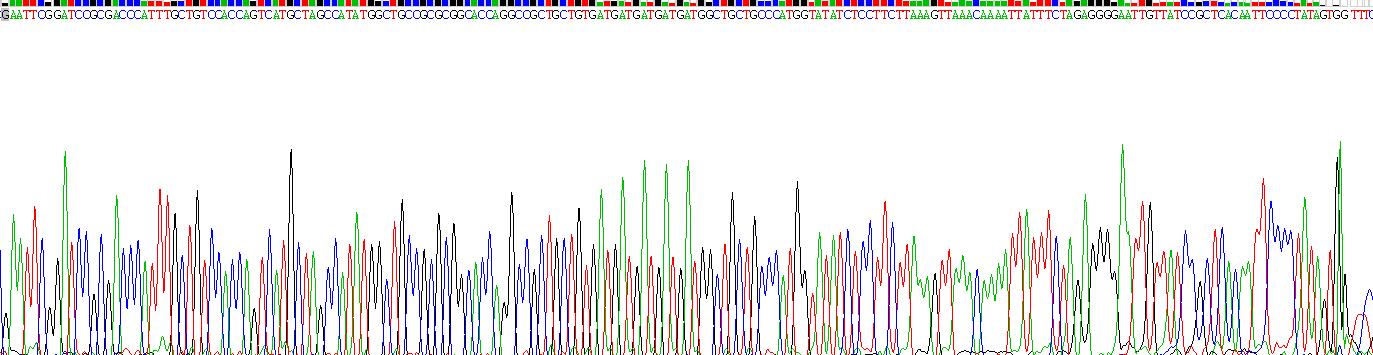 Recombinant C-Type Lectin Domain Family 4, Member C (CLEC4C)