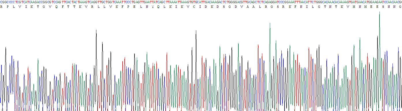 Recombinant Signal Transducer And Activator Of Transcription 3 (STAT3)